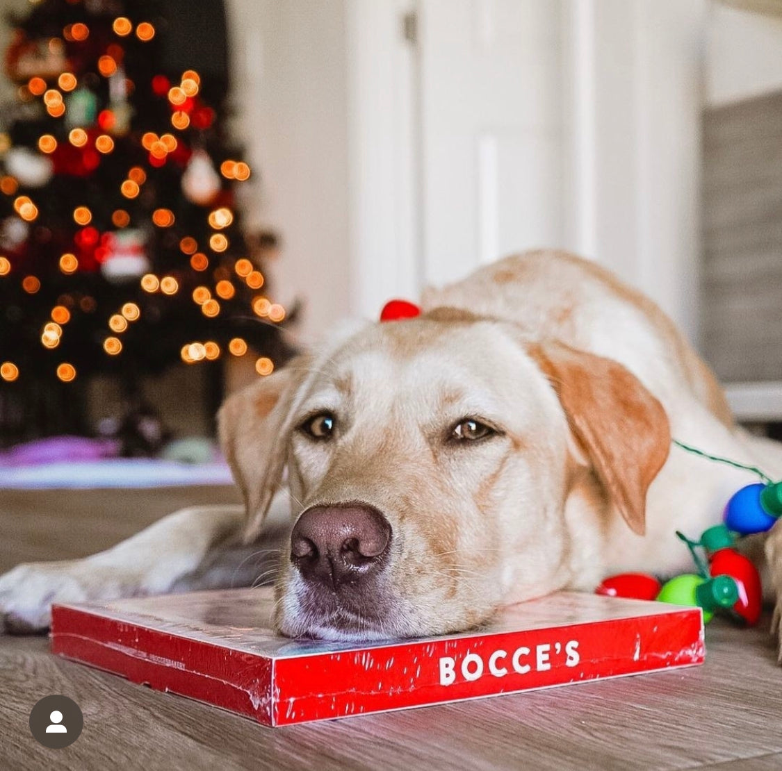 Advent Calendar Bocces Bakery Bad Dog Tofino