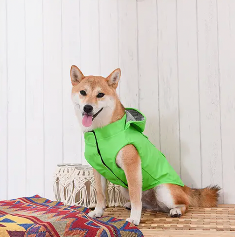 Bright 2025 green raincoat