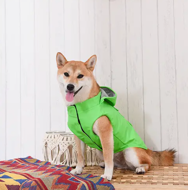 Bright hot sale green raincoat