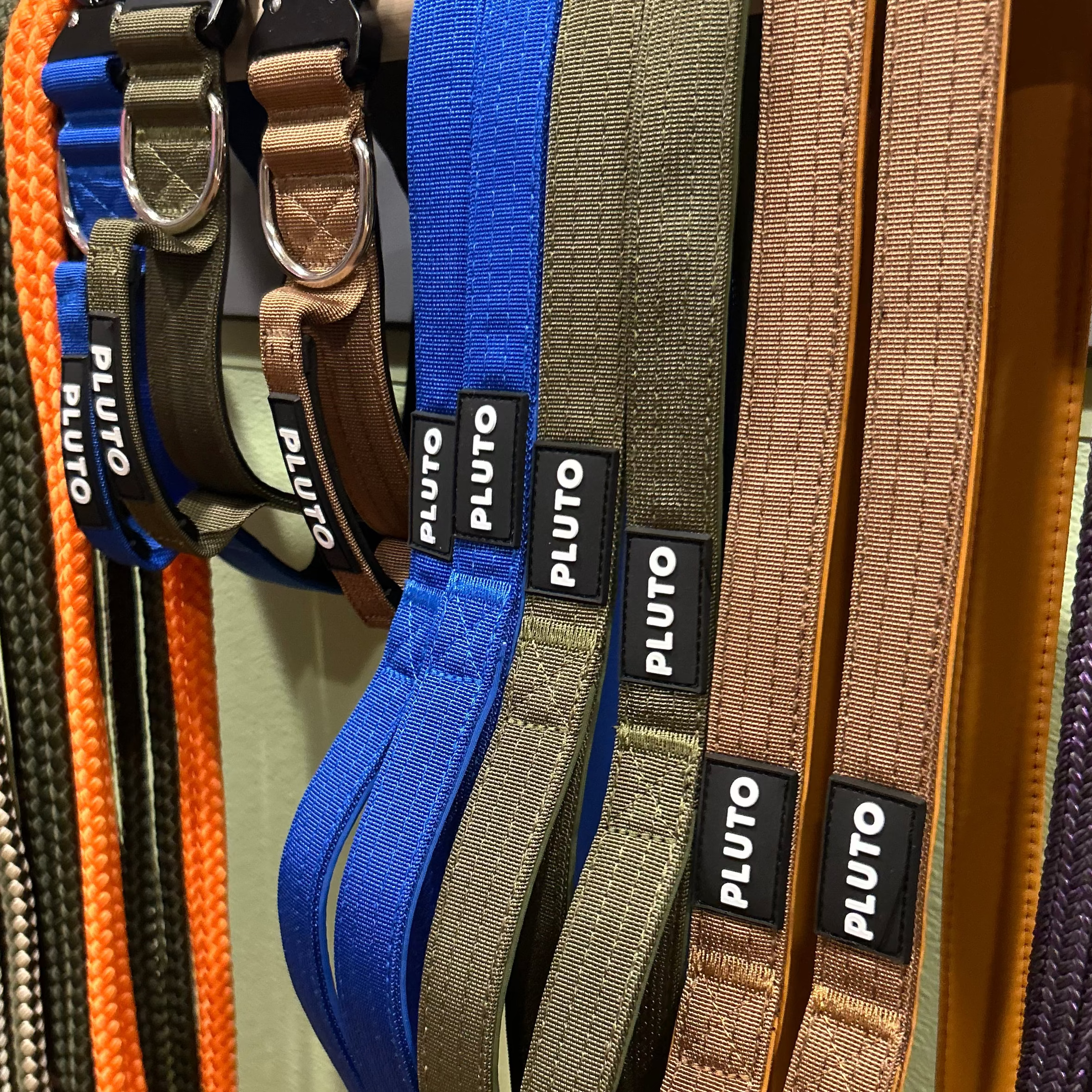 PLUTO Heavy Duty Leash