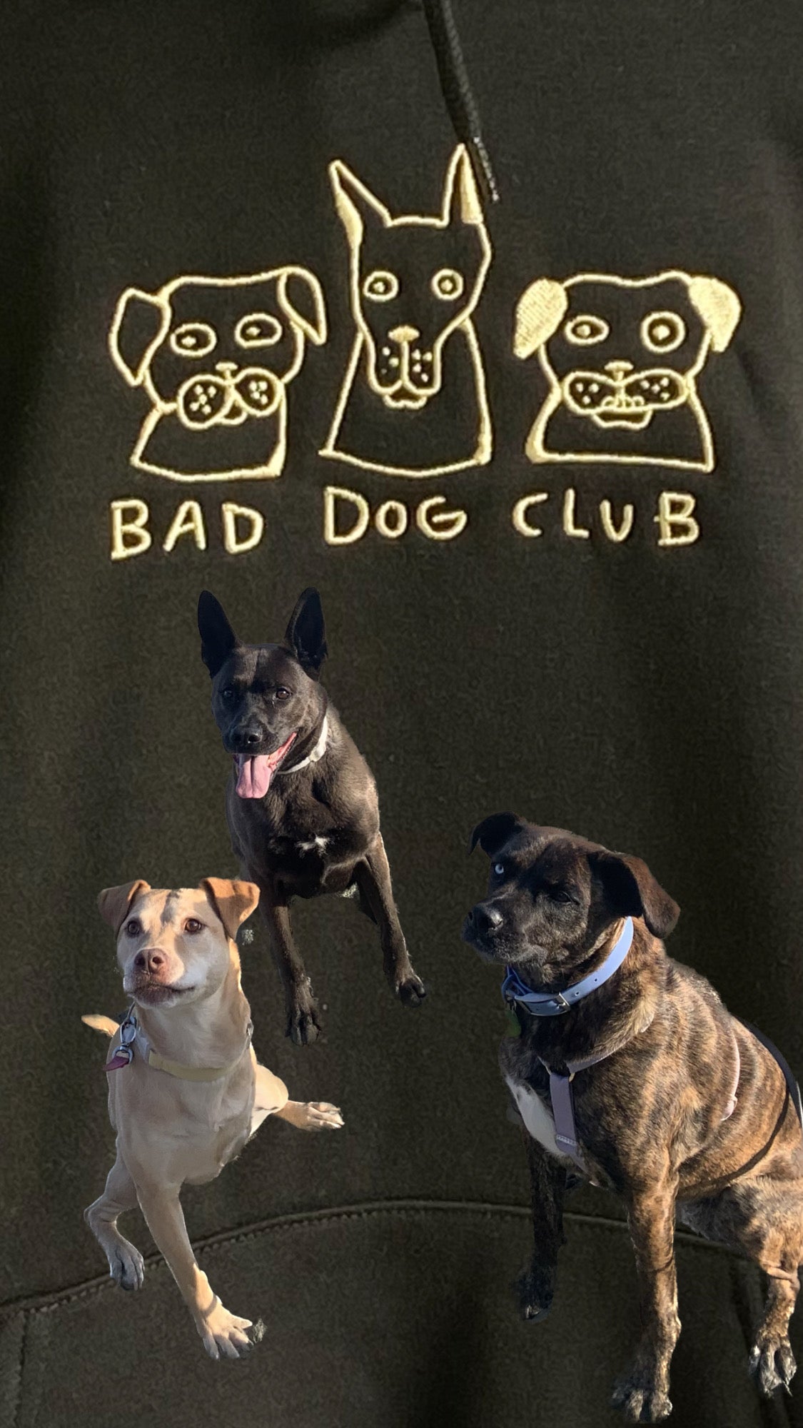 Bad Dog Club Embroidered Hoodie