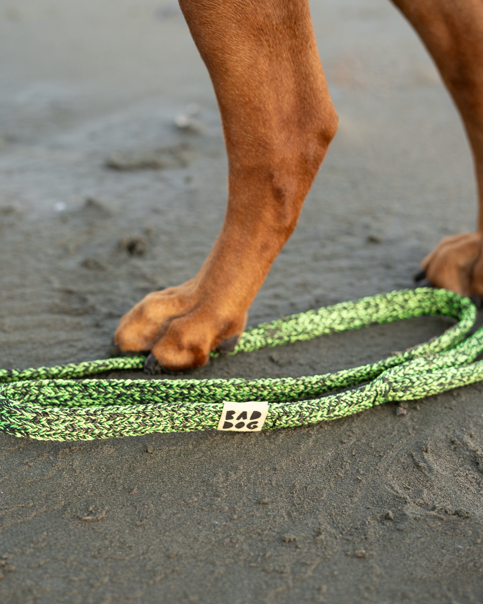 Bad Dog X Bato Leash Big Dogs All Colours