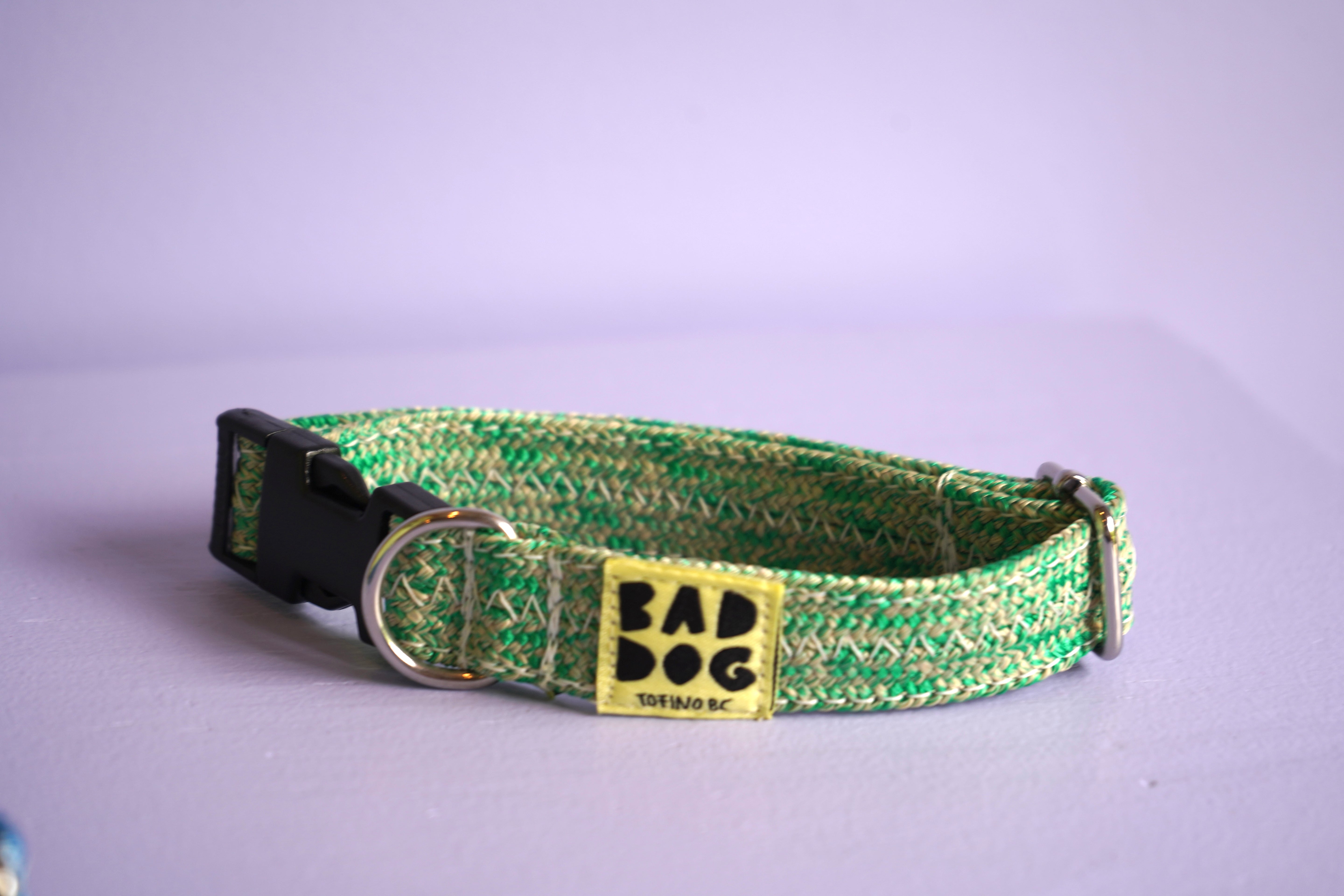 Bad Dog X Bato Small Dog Collar