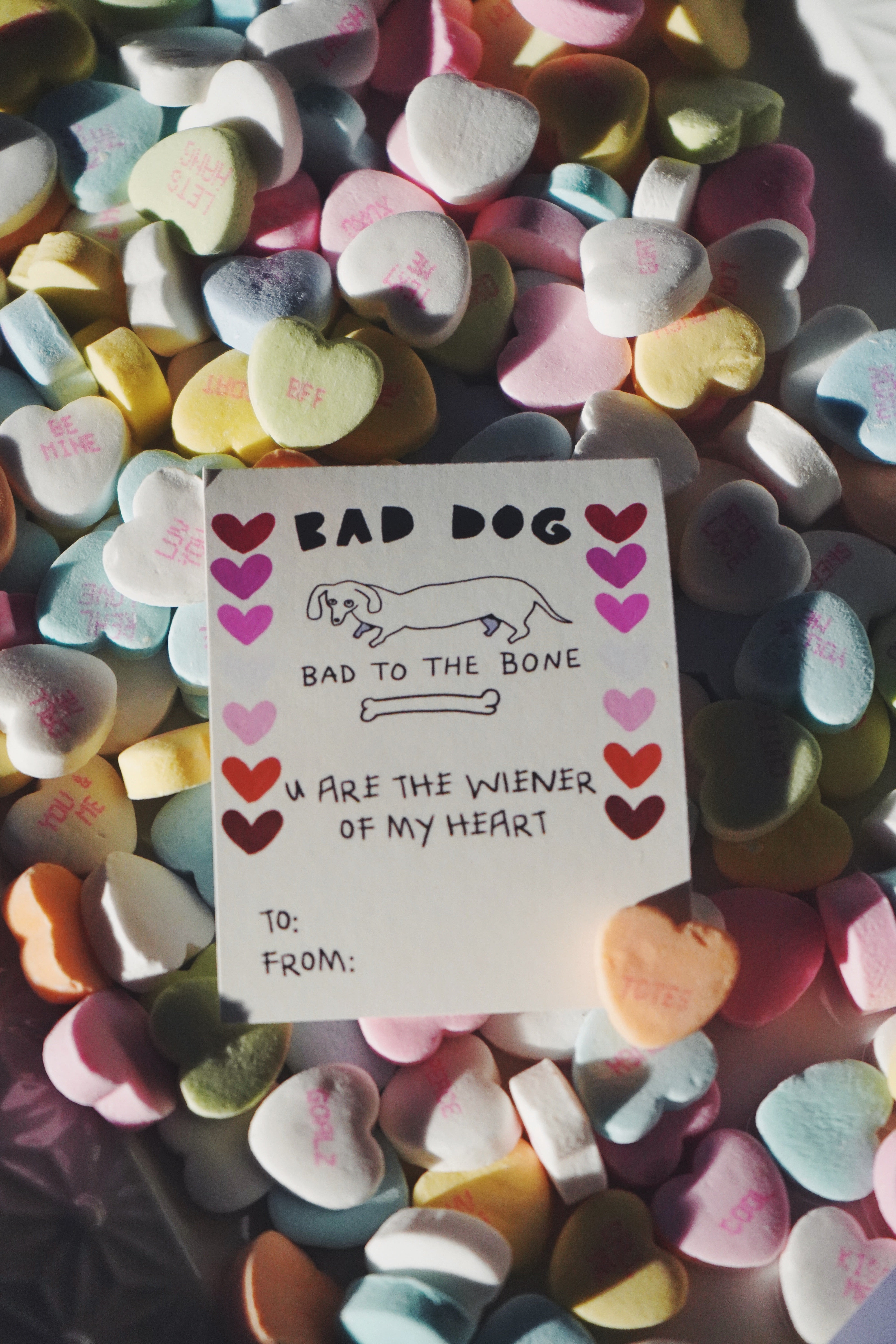 Candy Grams Puppy Valentines