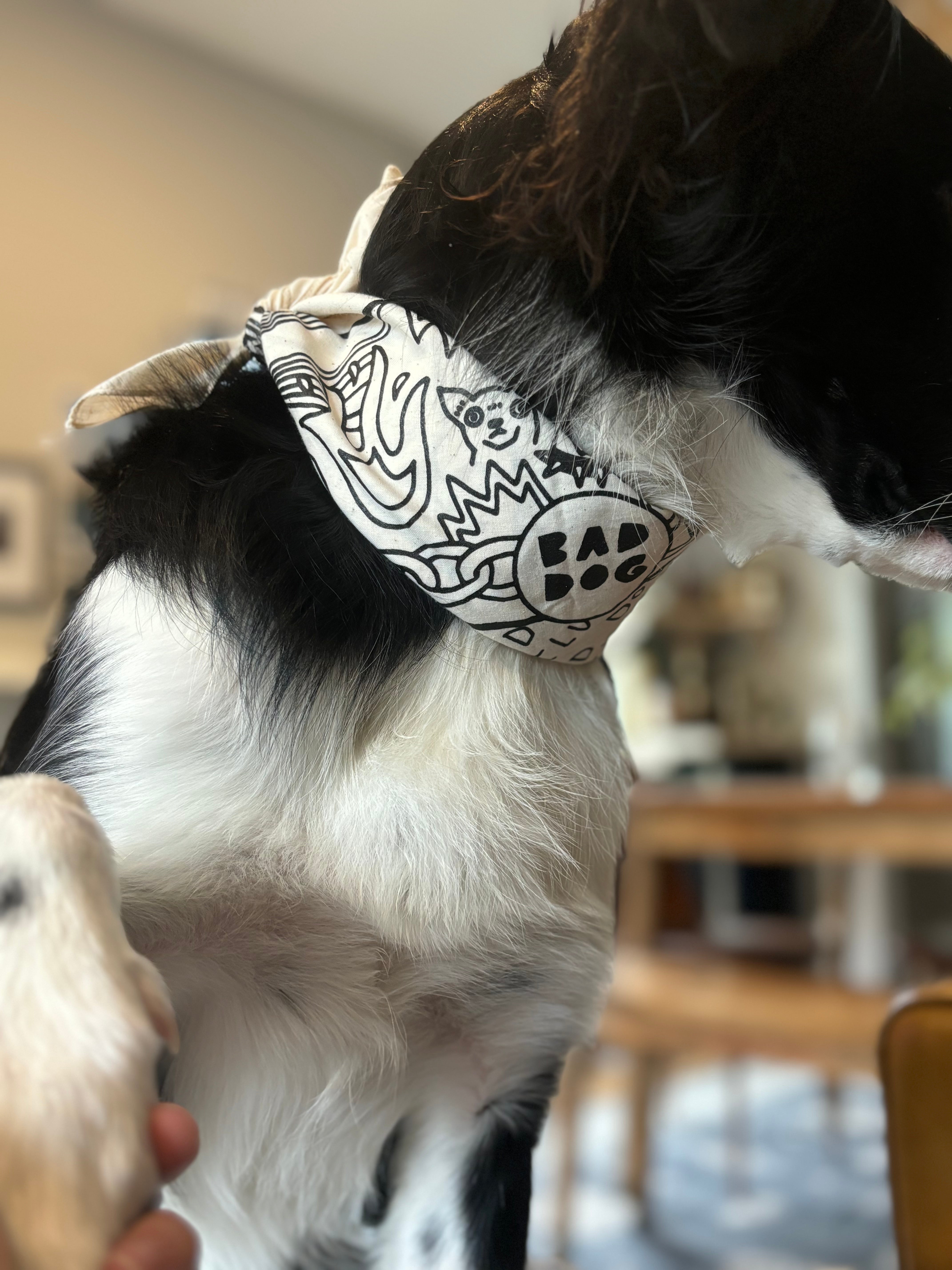 Bad Dog Bandana's 3 Colours