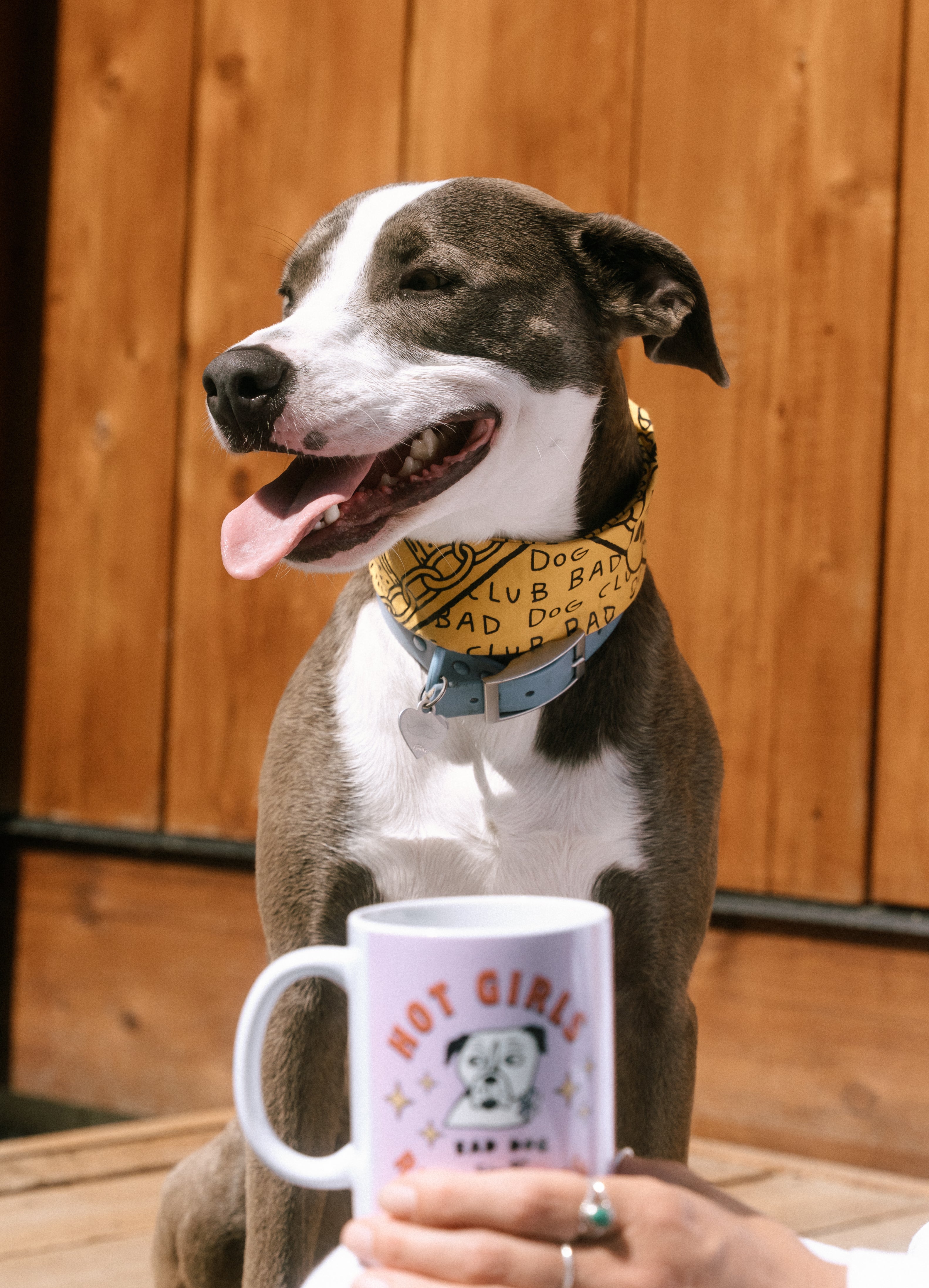 Bad Dog Coffee Mug