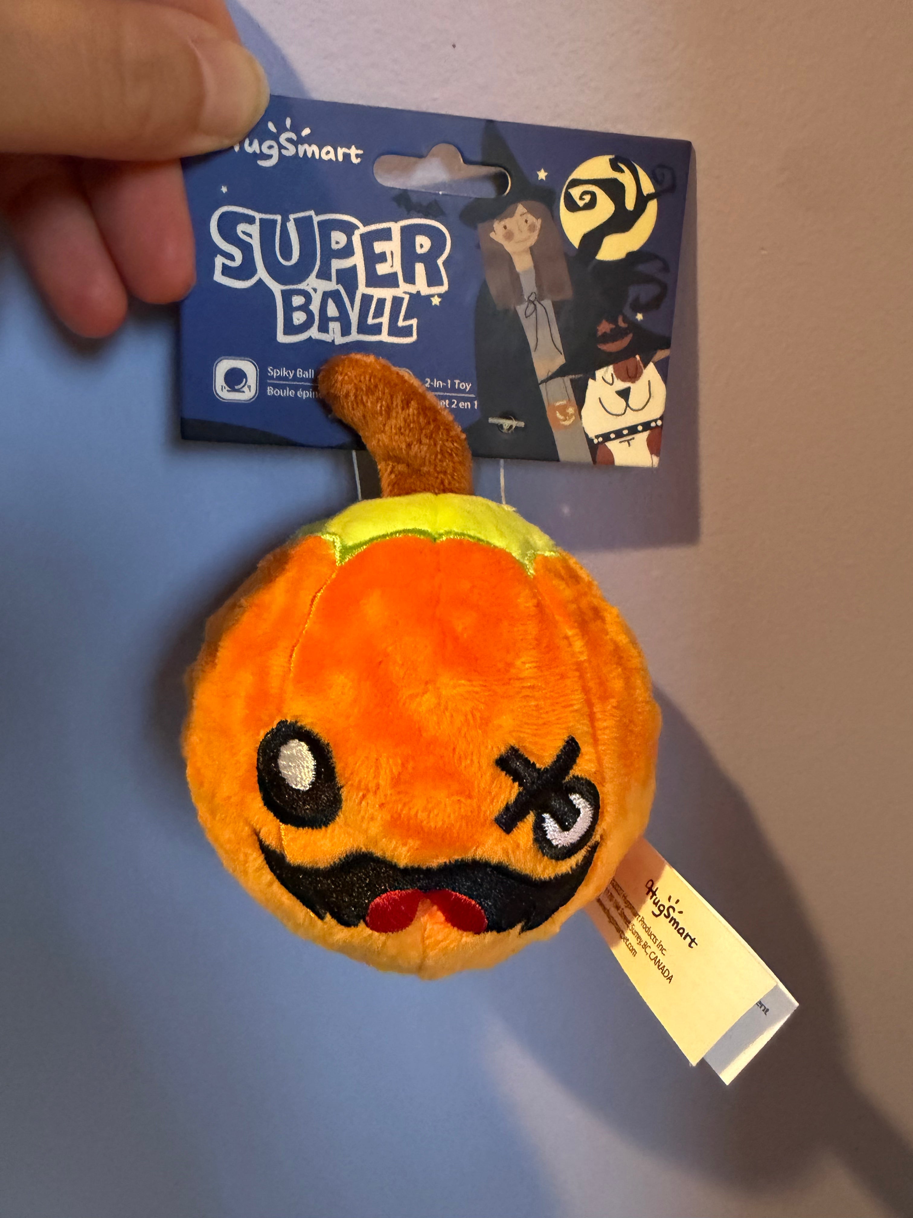 hugsmart ball toys 2 in 1