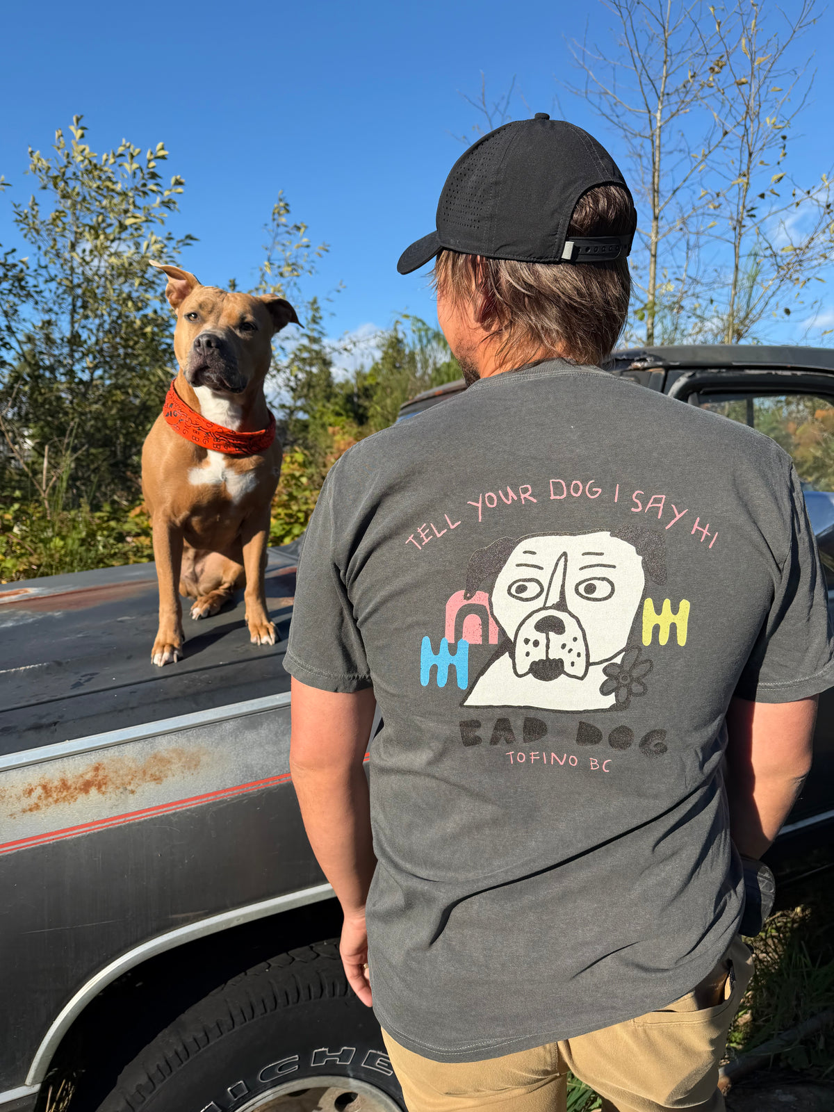 Archive Collection ~ Tell your dog I say hi