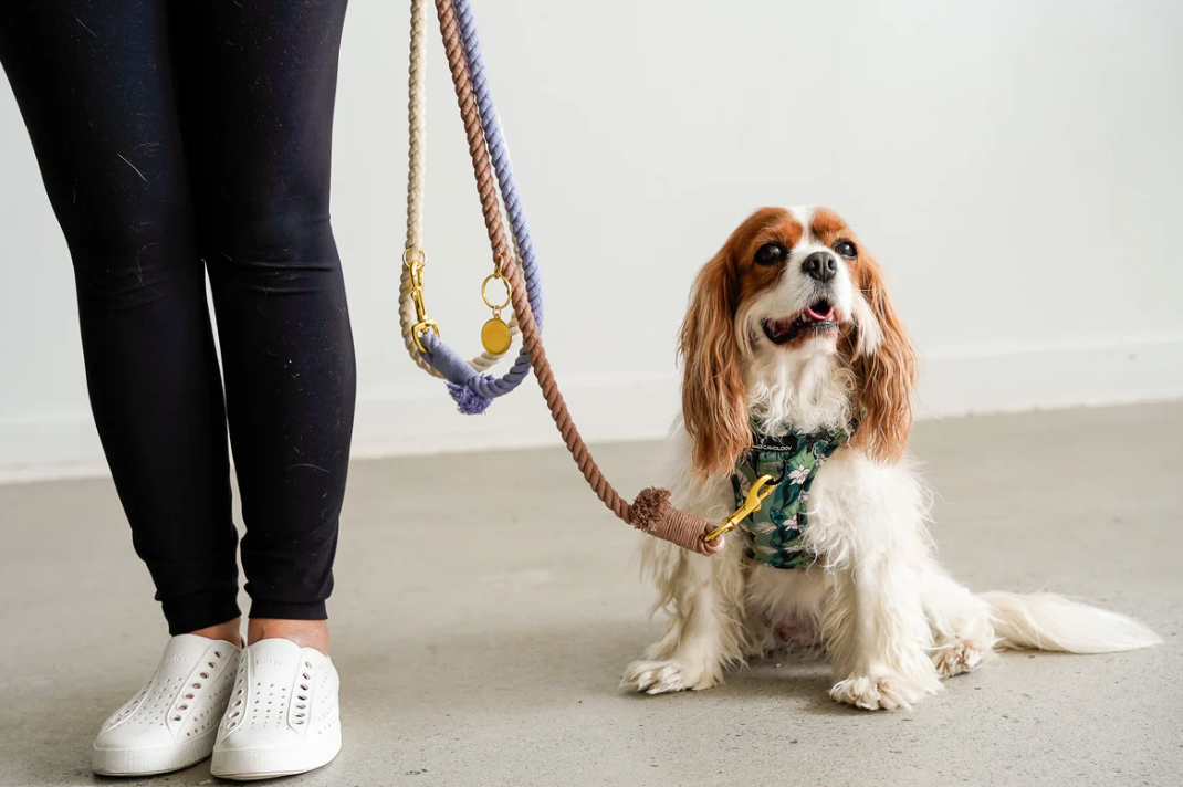 Hands Free Cotton Rope Dog Leash