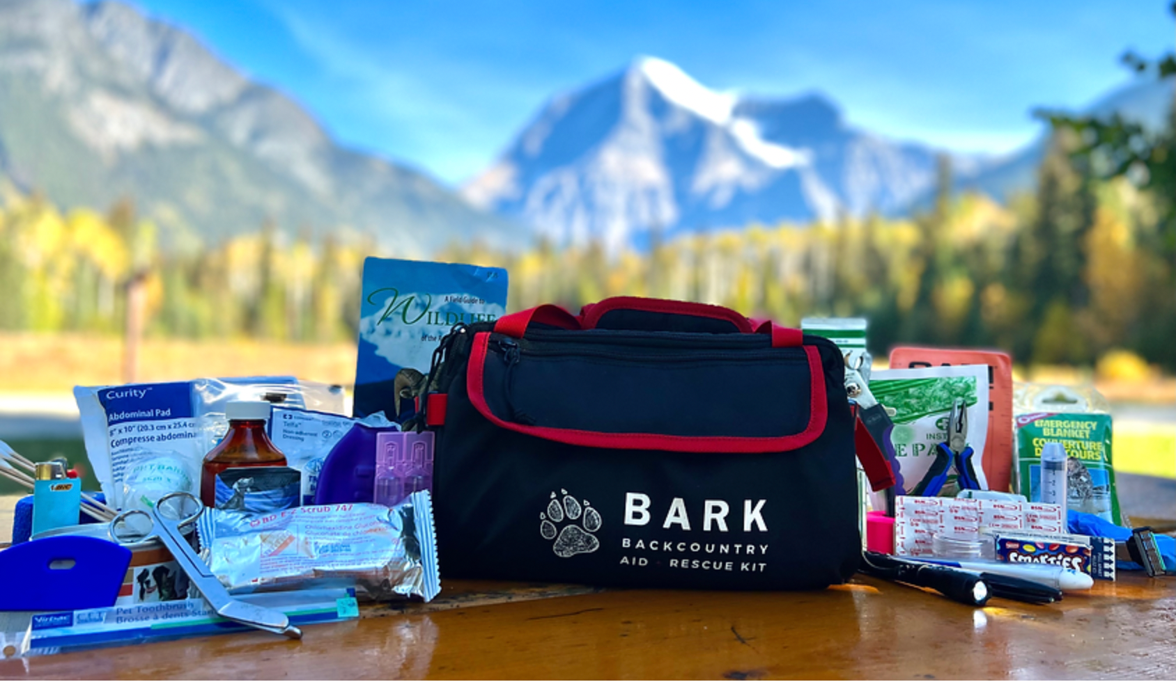 BARK First Aid Kit - Glovebox Kit