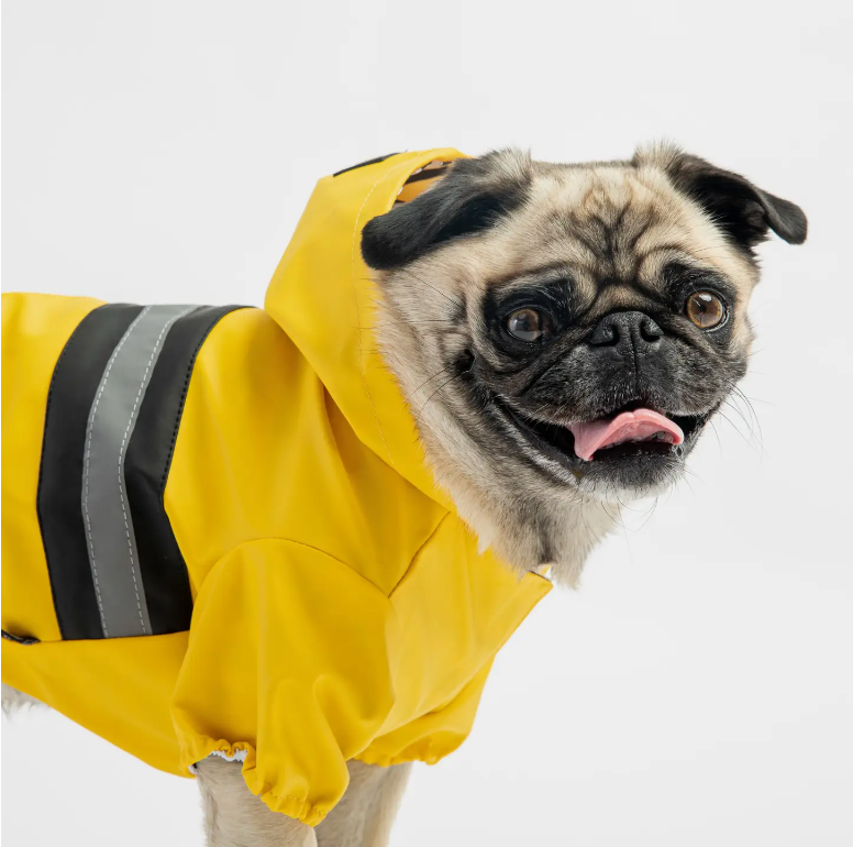 Rain Coat Aden Yellow