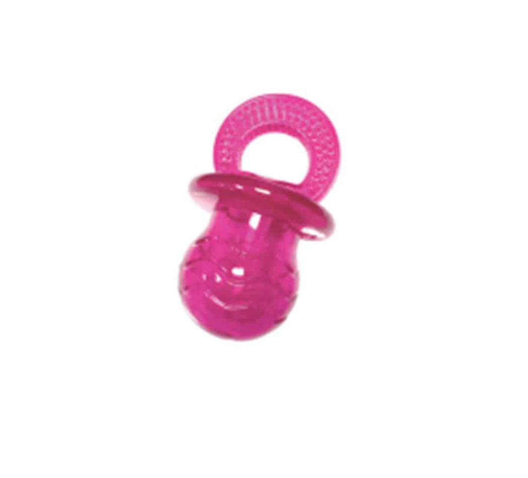 Paci Chew Toy