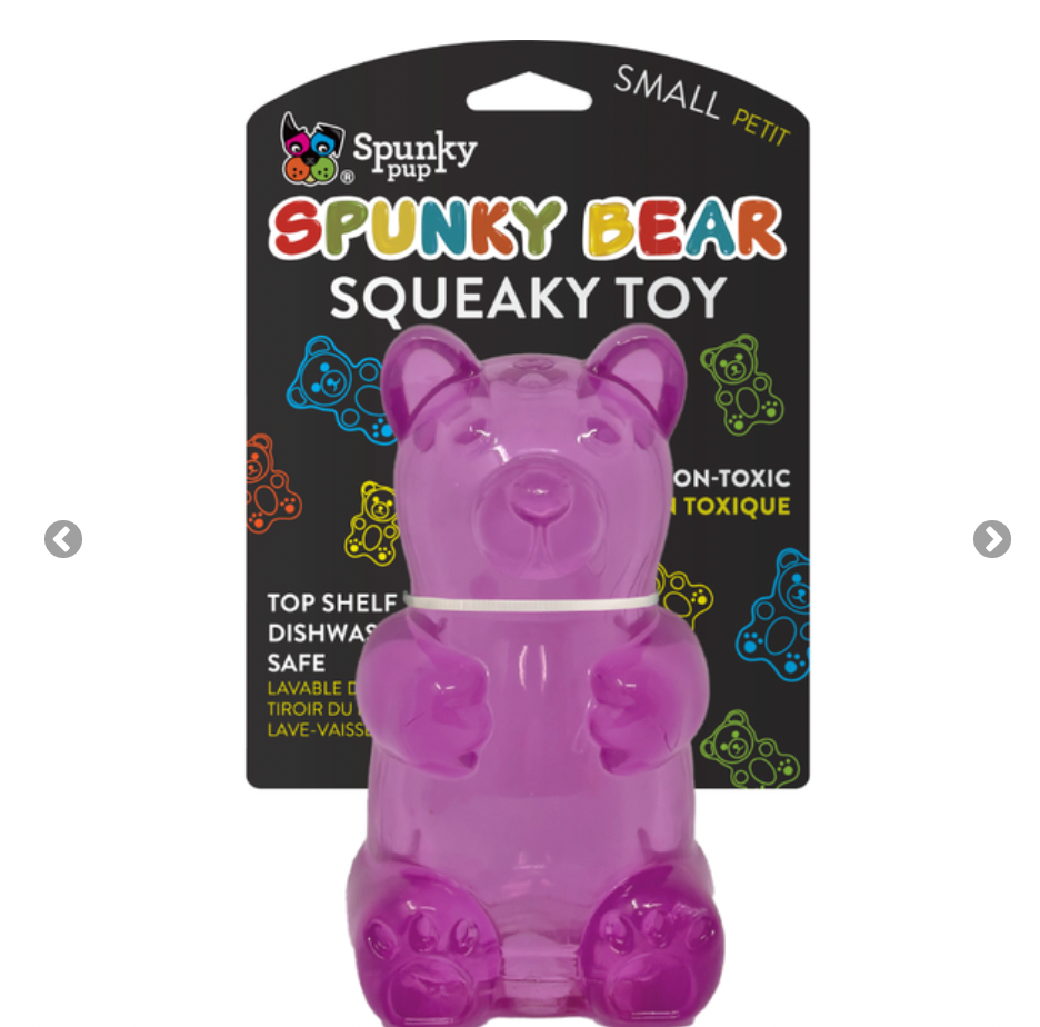 Spunky Pup Bear Toy for Small Dogs