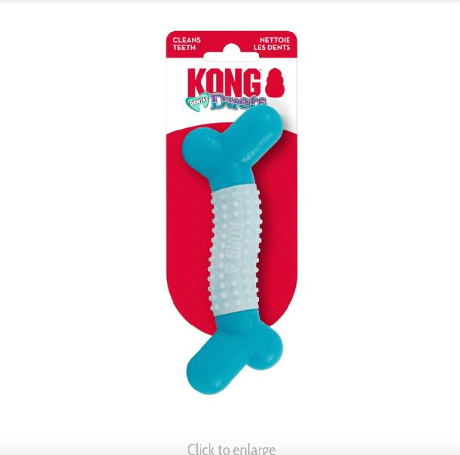 Kong Dental Bone for Puppies