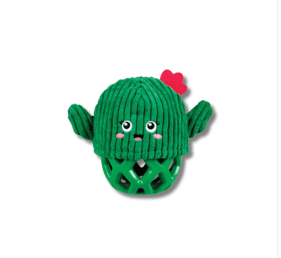 Fringe Studio Prickly But Sweet Cactus Ball Toy