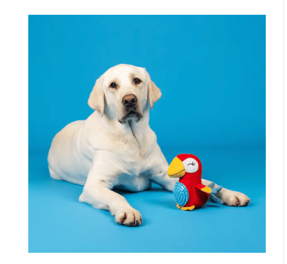 Frindge Perching Perfection Toy Parrot Toy