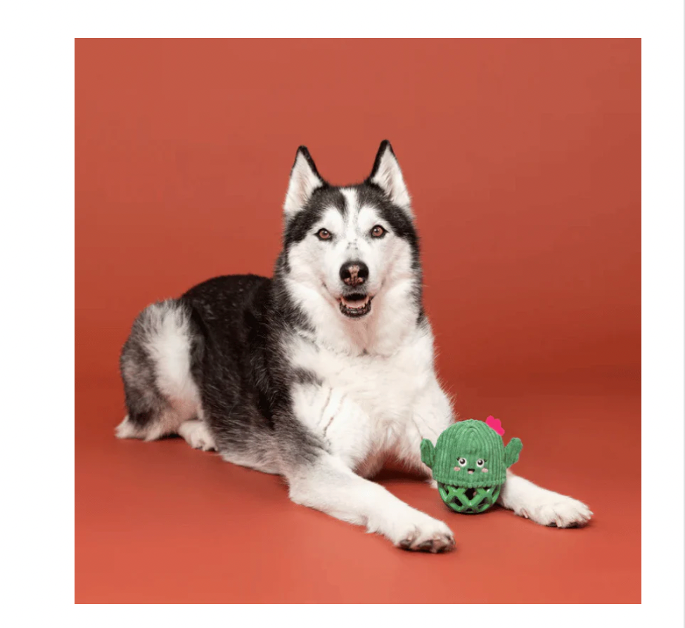 Fringe Studio Prickly But Sweet Cactus Ball Toy
