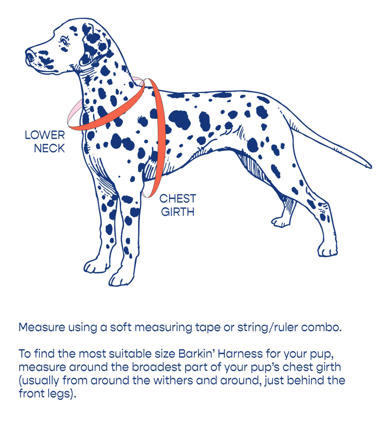 Step-In Harness Barkin