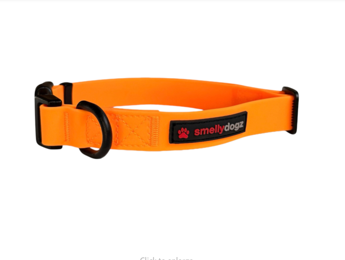 Smelly Dogz Comfort Collar Medium / Large