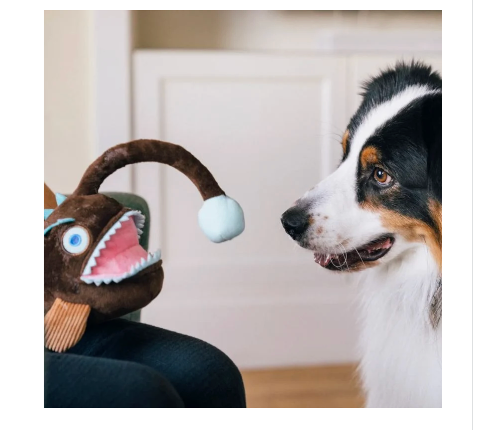 Play Angler Fish