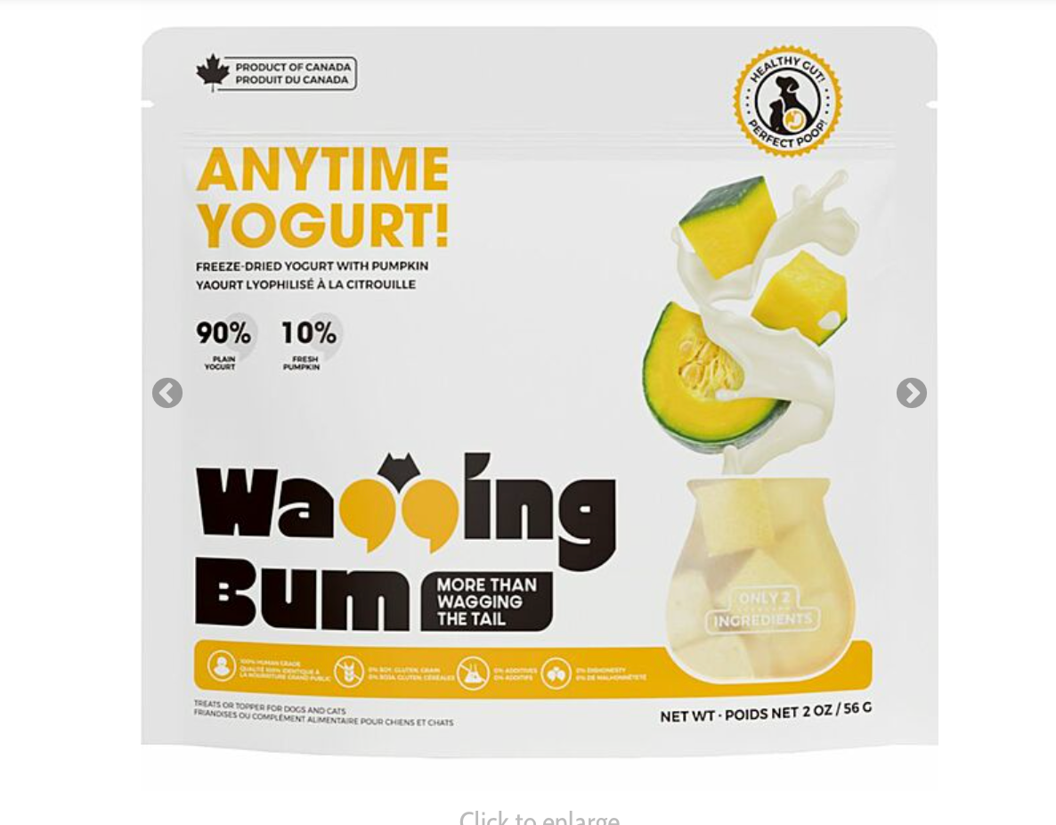 Wagging Bum Pumpkin Treats