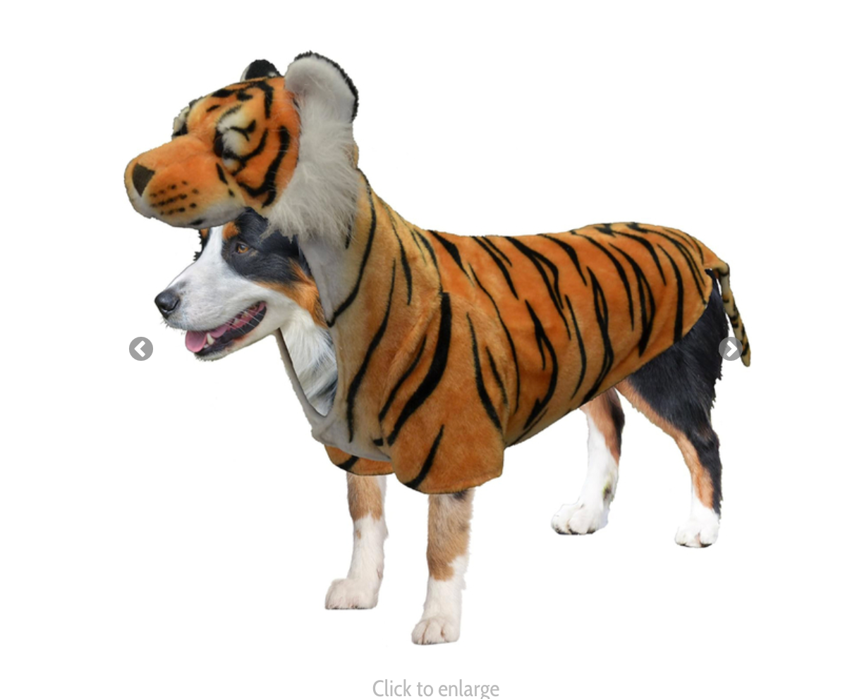 Dog Halloween Costumes