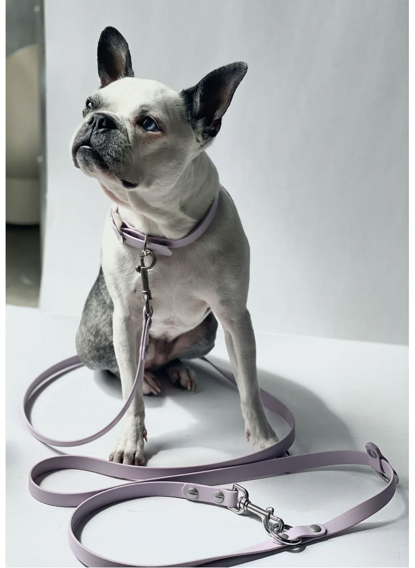 Good boy collective - The Any Way  Leads