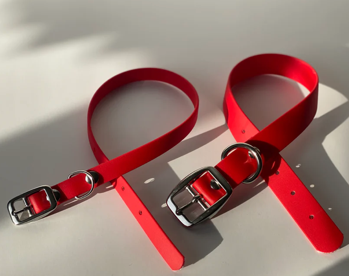 Good Boy Collective - Biothane Collar