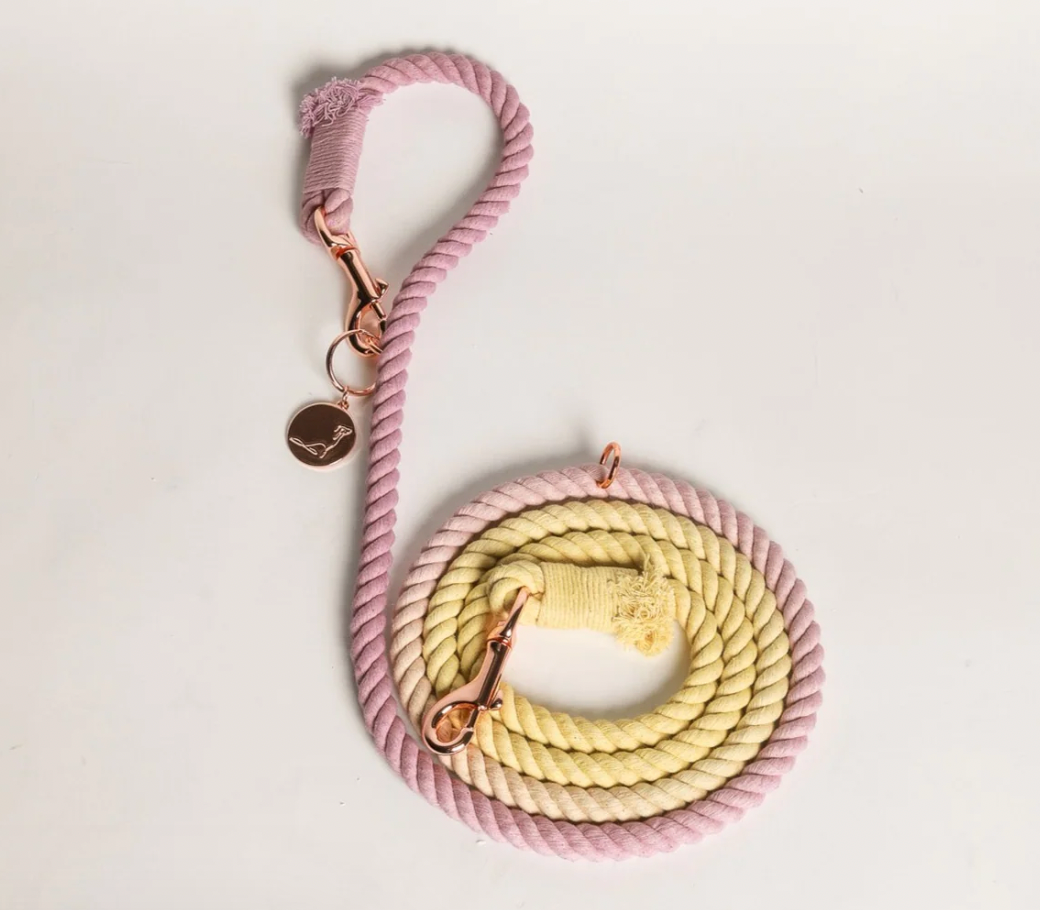 Hands Free Cotton Rope Dog Leash